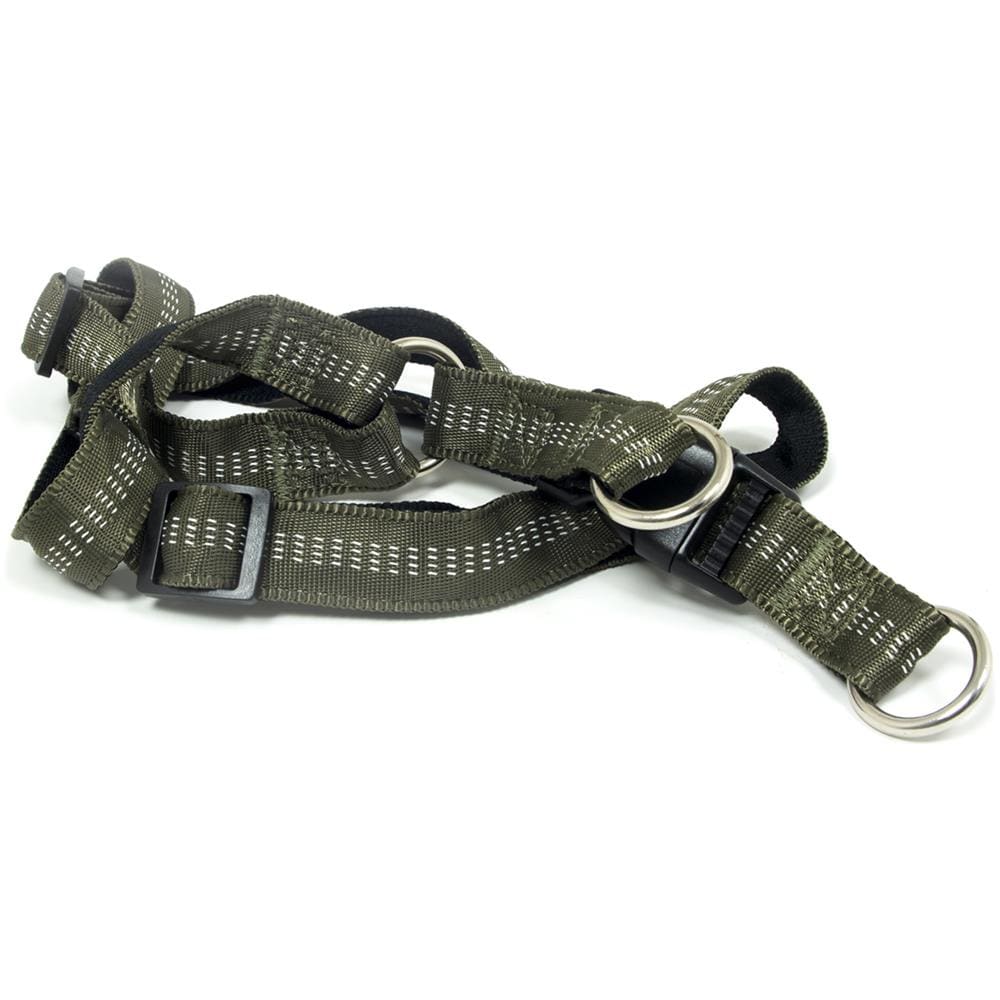 Pettorina Per Cani Regolabile E Resistente Modello Color Doggy M Verdone - Foto 3