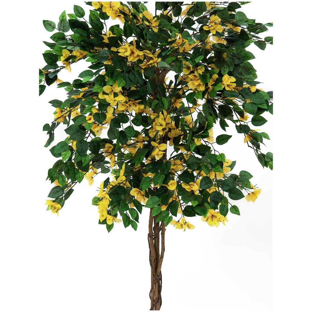 Bouganville, Giallo, 180cm - Foto 1