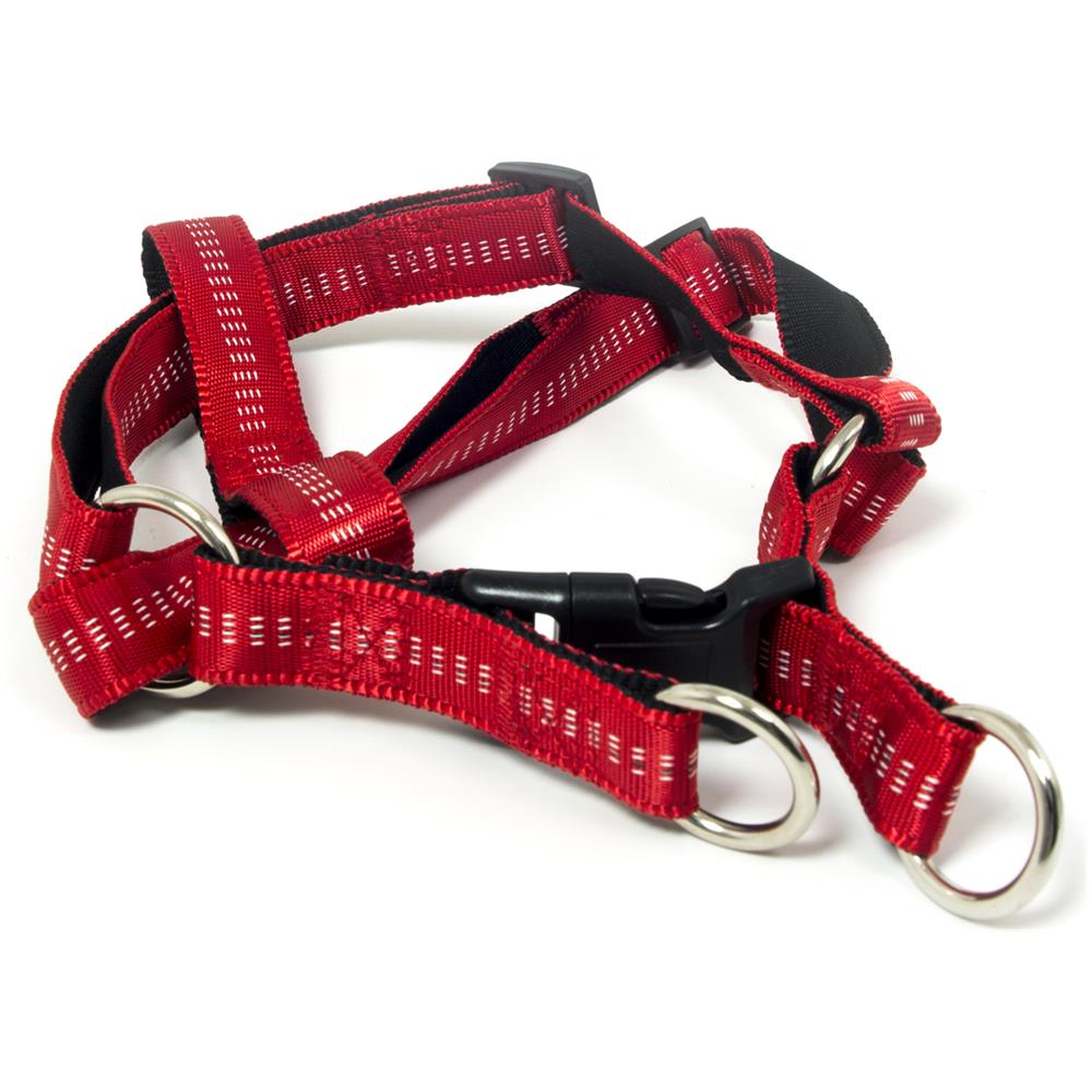Pettorina Per Cani Regolabile E Resistente Modello Color Doggy S Rosso - Foto 3