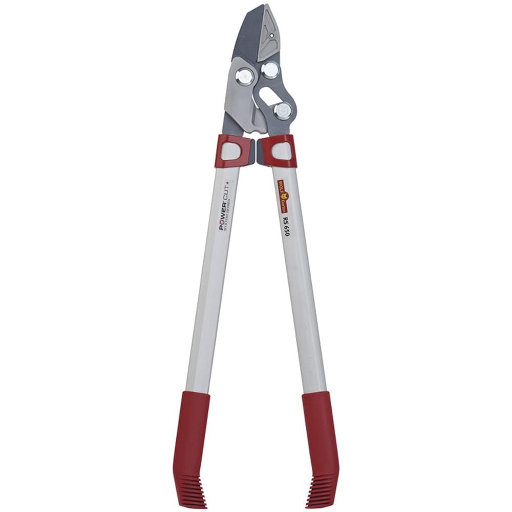 Power Cut RS 650 Troncarami Battente - Foto 1