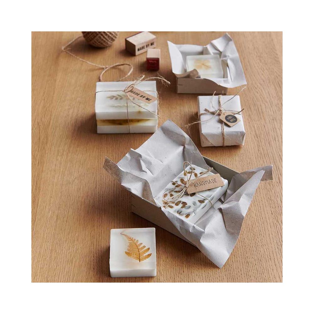 Foglia Di Felce Essiccata E Pressata - Foto 2