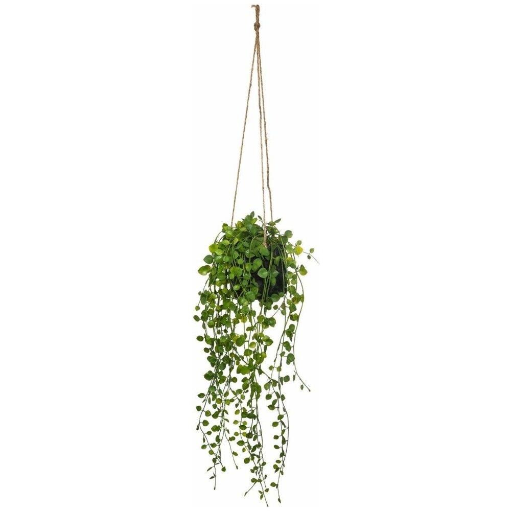 Pianta Artificiale Rampicante Peperomia, Ø 18 X 62 Cm - Foto 1
