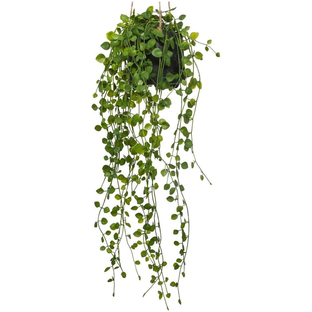 Pianta Artificiale Rampicante Peperomia, Ø 18 X 62 Cm - Foto 2