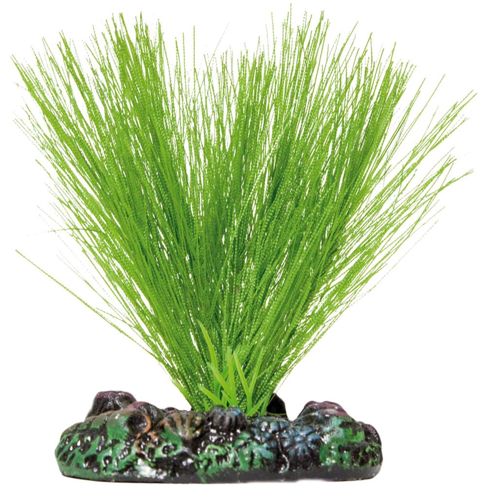 Planta Seda Miriophyllum S 2 Kg - Foto 1