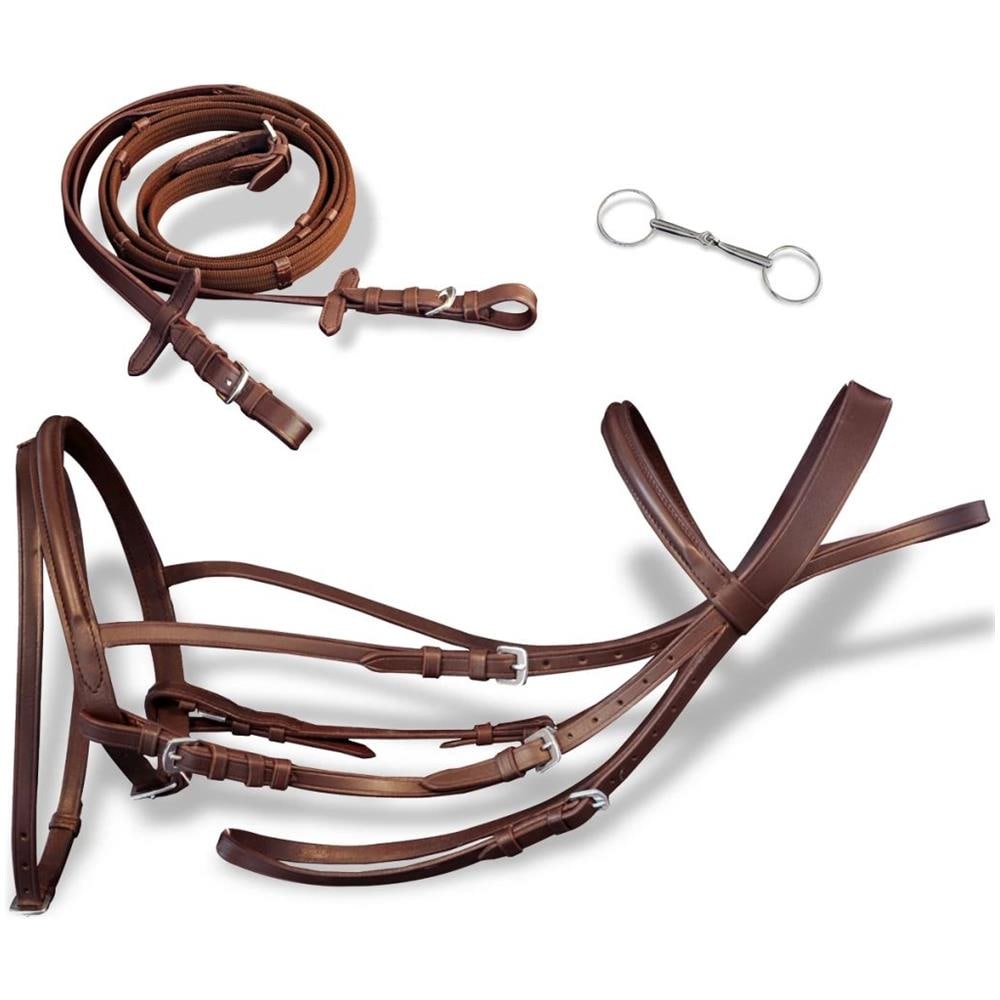 Briglie In Pelle Con Redini E Morso Marrone Per Pony - Foto 1