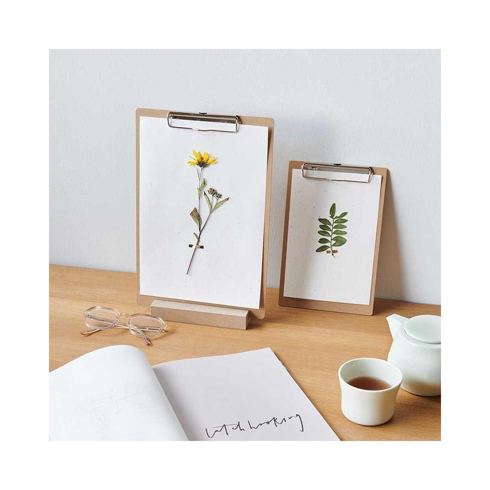 Garofani Essiccati E Pressati - Foto 2