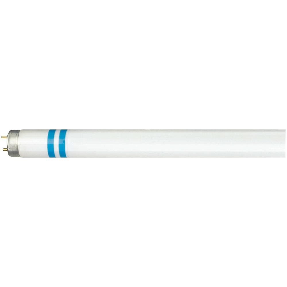 MASTER TL-D Secura, Tube, T8, G13, Bianco, A, Bianco freddo - Foto 1