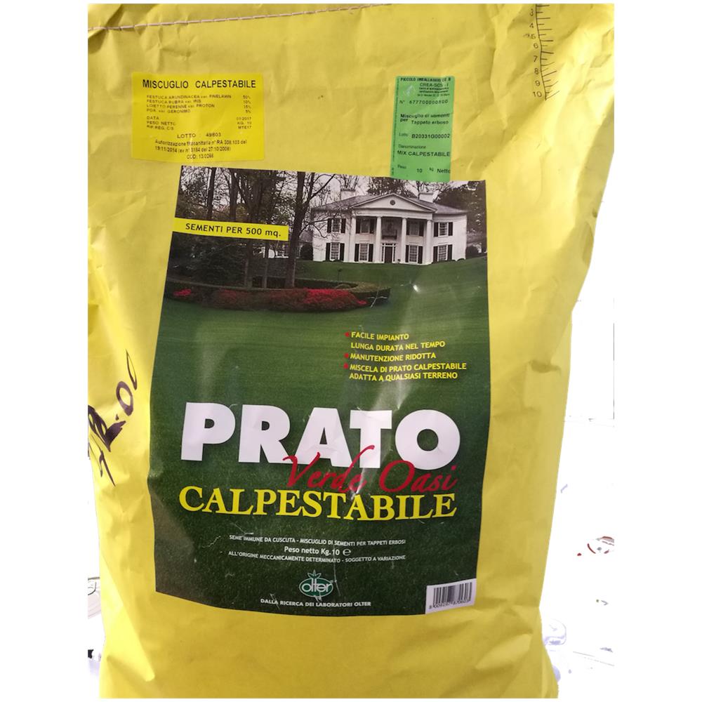 1 kg di TAPPETO ERBOSO /" Prato Facile /"