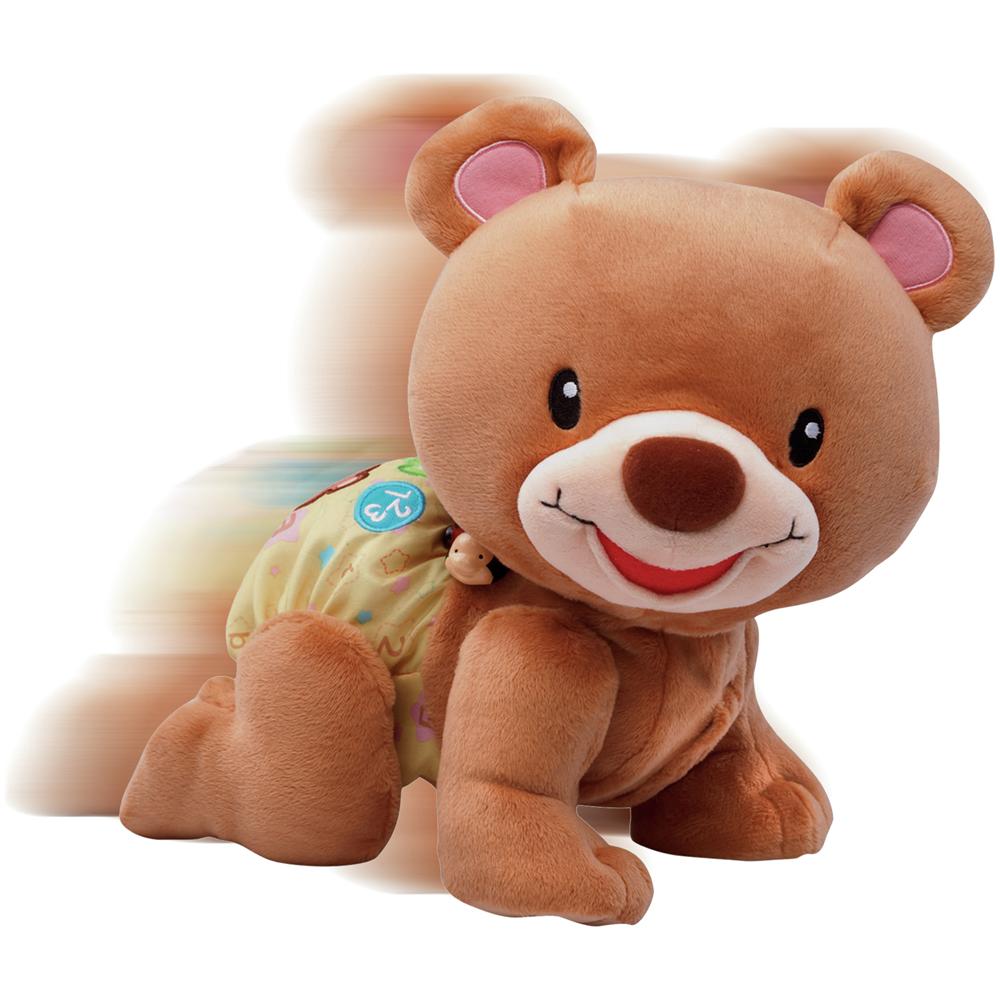 80-181105, Animale, Orso, Marrone, AA - Foto 1