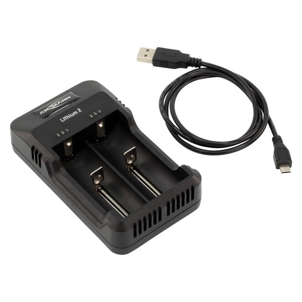 Caricabatterie Universale 2 Vani di Carica - Foto 1