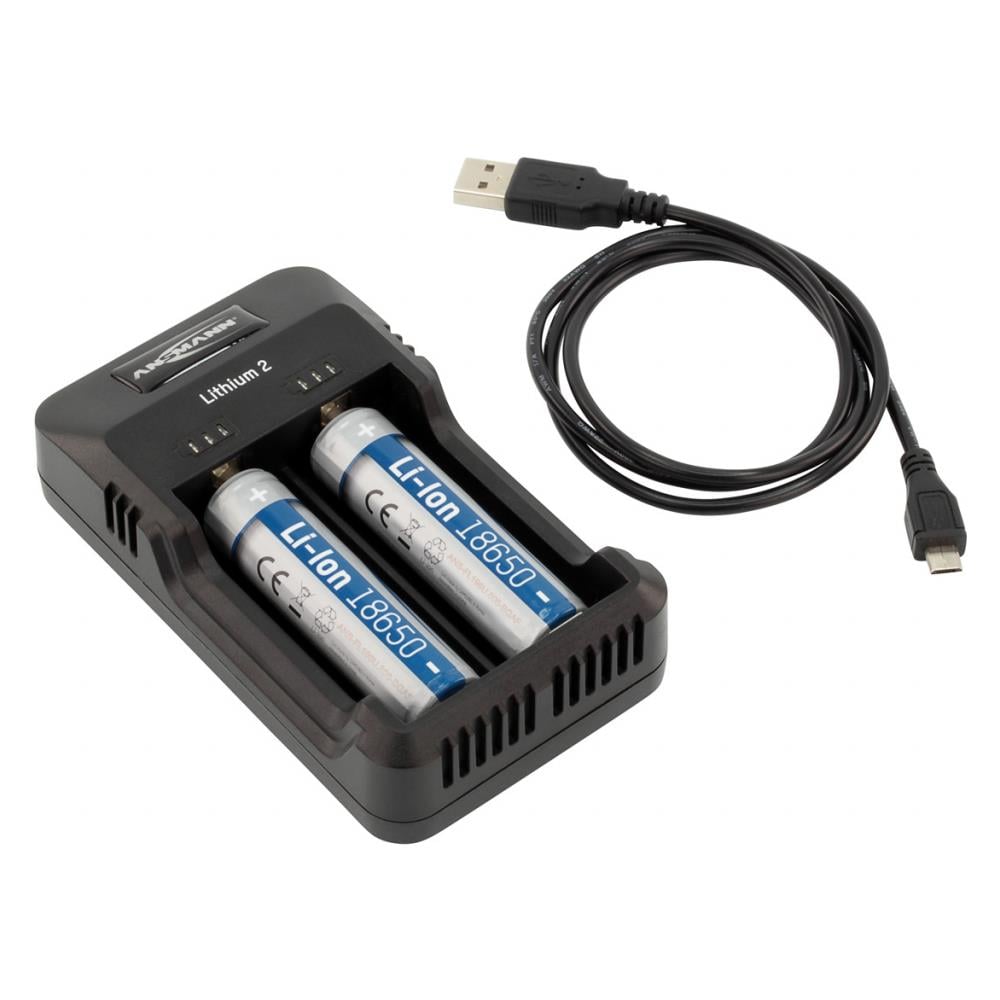 Caricabatterie Universale 2 Vani di Carica - Foto 2