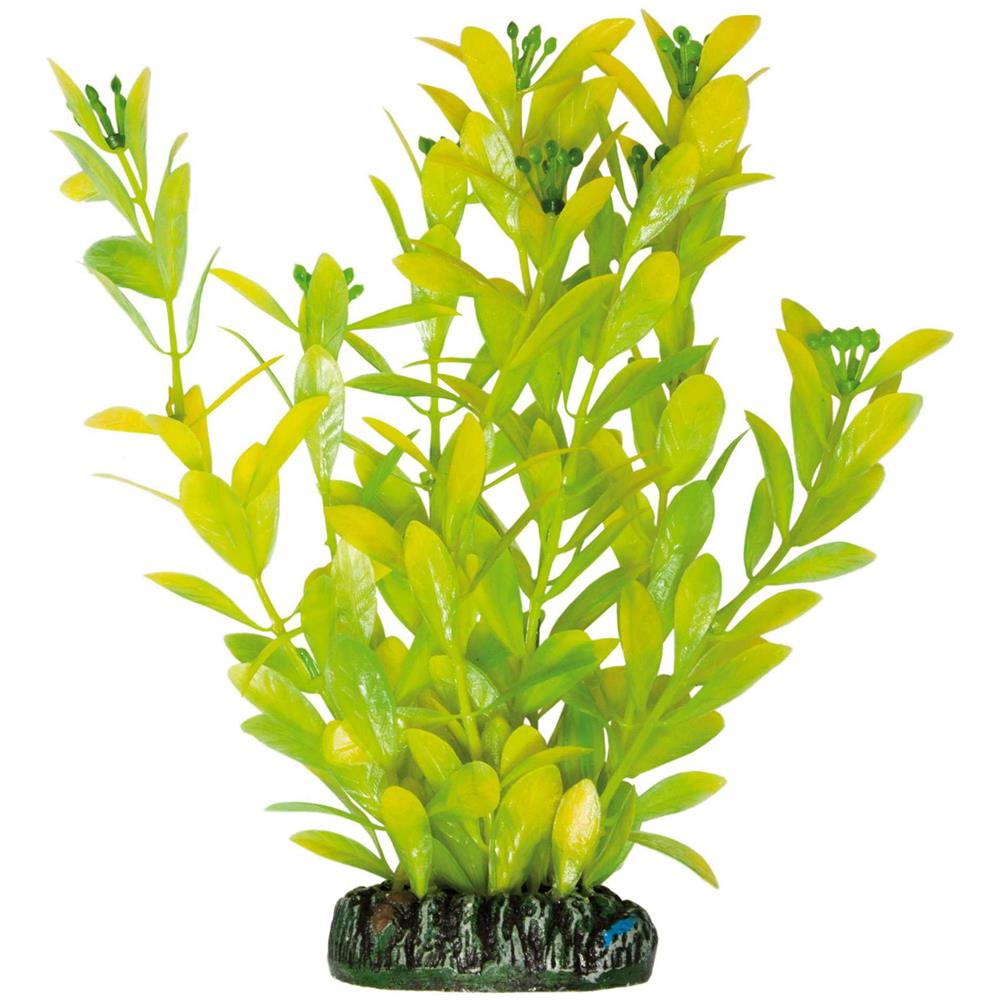 Planta De Plástico Higrófila Polisperma94 Gr - Foto 1