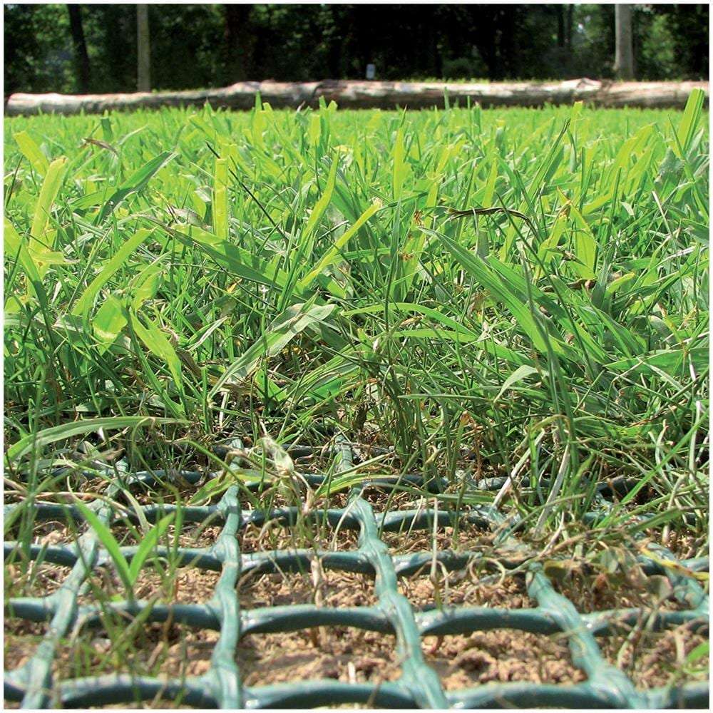 Tr Rete Salvaprato, Protegge Il Giardino E Impedisce Al Cane Di Scavare Buche - Verde - 1x5 M - Foto 3