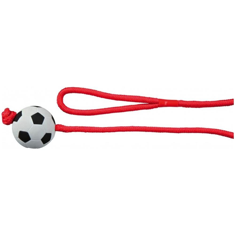 Palla Da Calcio Con Corda Per Cani - Foto 1