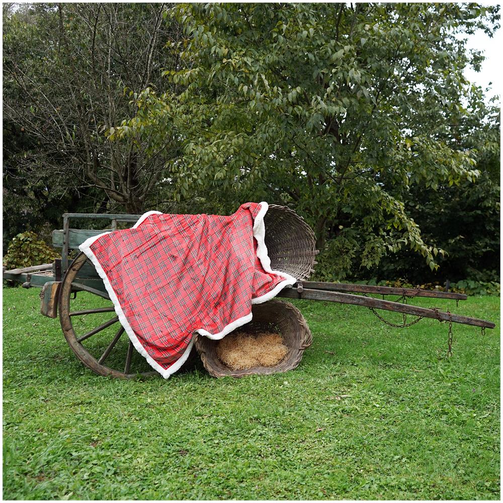 Serie Nordic Coperta Plaid Di Pile Da Divano E Letto In Morbida E Calda Microfibra Con Retro In Pelo 200x230 Cm - Scozzese Rosso - Foto 1