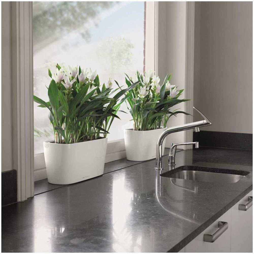 Fioriera Da Tavolo Delta 20 All-in-one Bianco Lucido 15560 - Foto 7