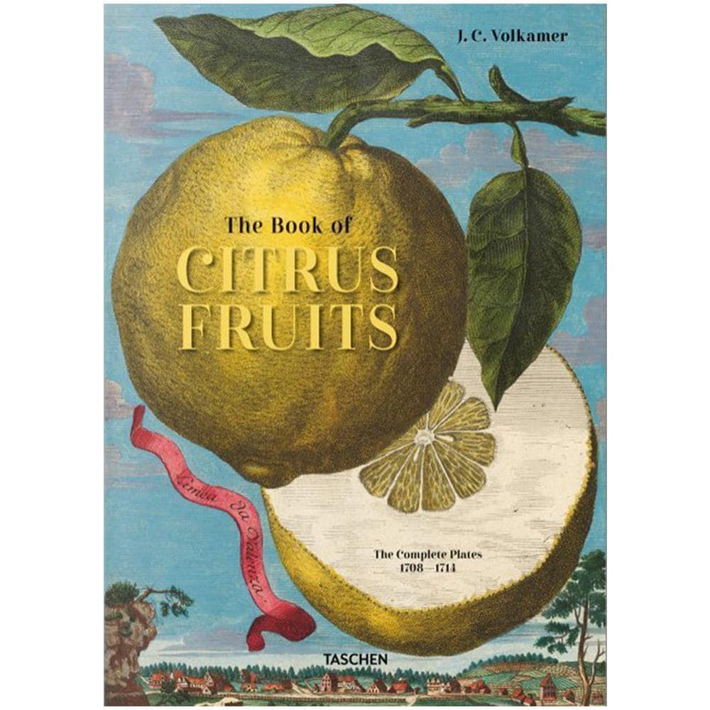 Iris Lauterbach - Johann Christoph Volkamer. The book of citrus fruits. Ediz. inglese, francese, tedesca - Foto 1