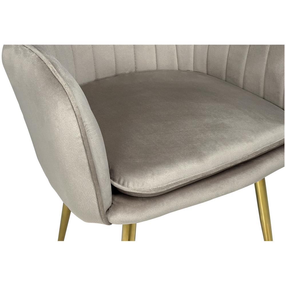 Sedia Da Pranzo In Velluto Tortora Poltroncina Vintage Mod. Celine - Foto 6