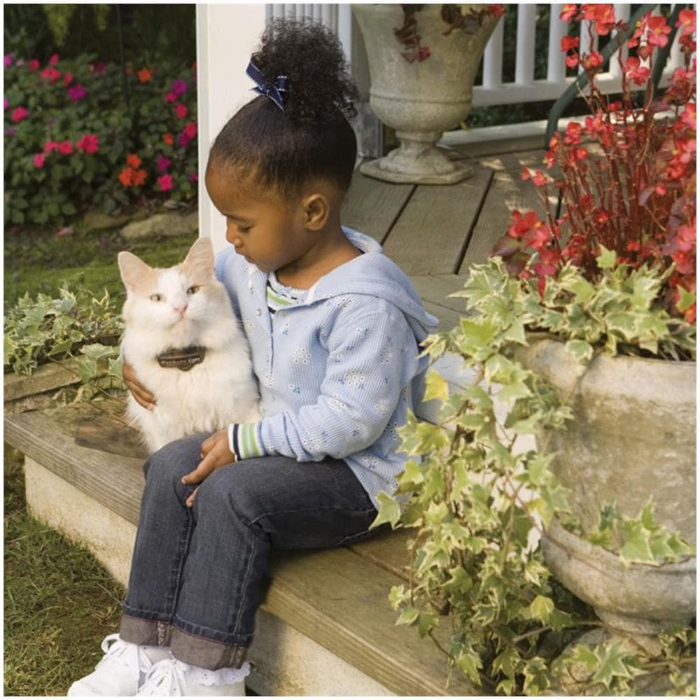 Sistema Di Contenimento Elettrico Deluxe In-ground Cat Fence 6038 - Foto 2