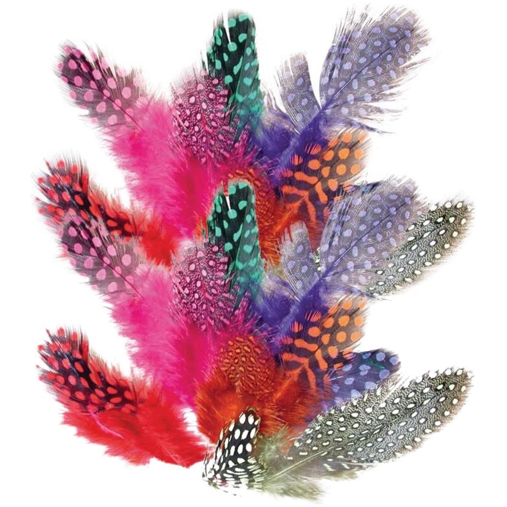 400 Piume Di Faraona Colorate - Foto 1