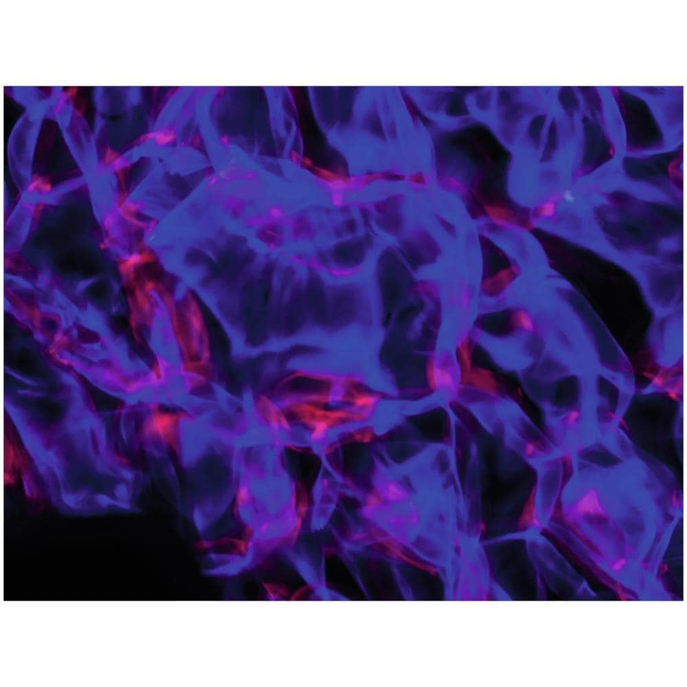 Effetto Luce Light Per Dj Eventi A Led Acqua Water Wf-40 - Foto 2