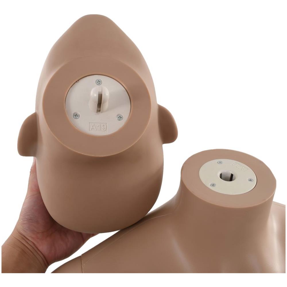 Manichino Donna Sexy Base in Vetro 180 cm Beige - Foto 2