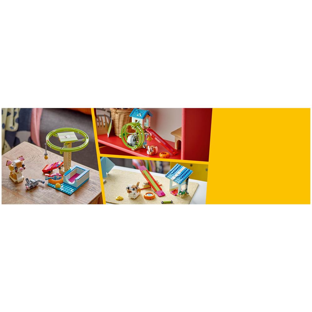 Ruota del criceto - Foto 14