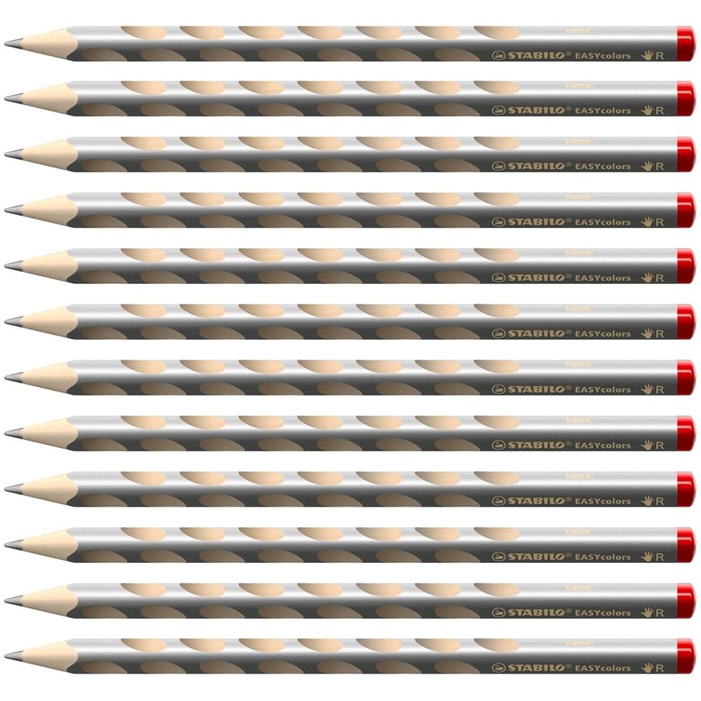 EASYcolors - Matita colorata Ergonomica - per Destrimani - Confezione da 12 - Argento - Foto 1