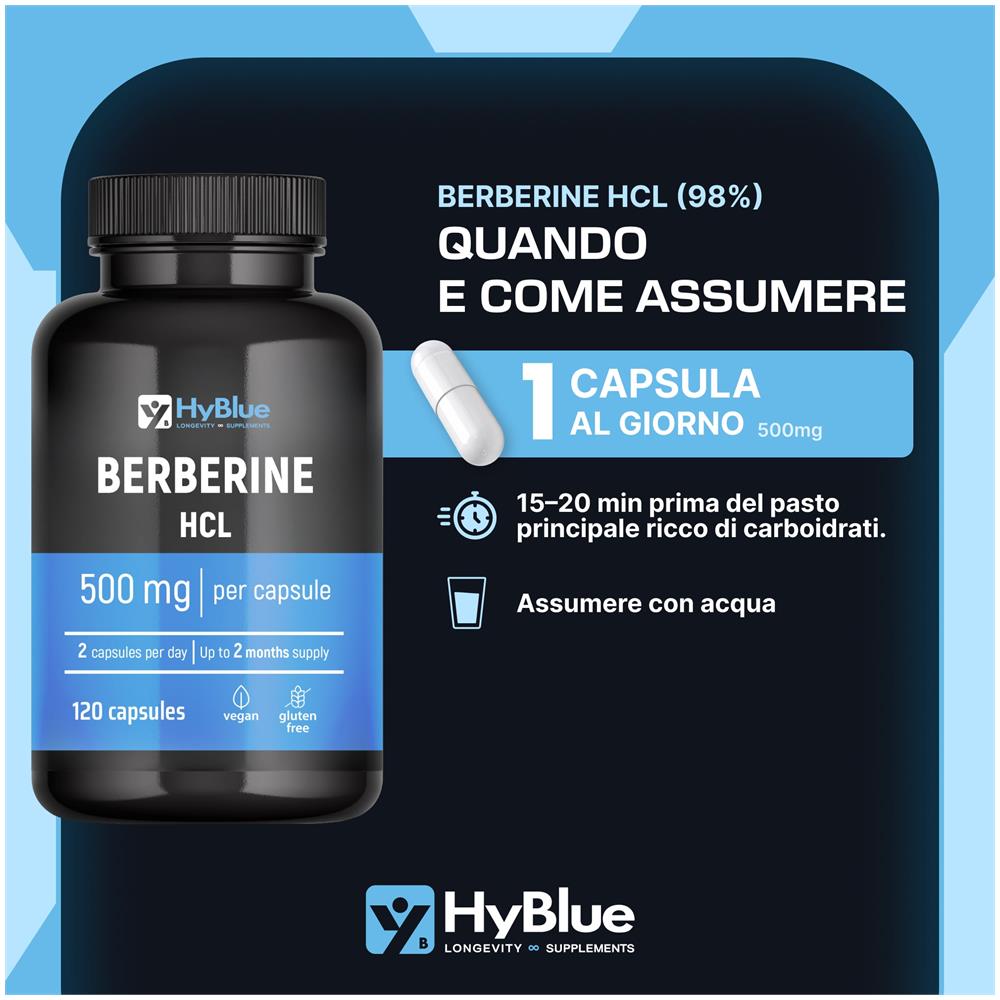 Berberina 1000 mg Alto Dosaggio 120 Capsule, 2x500 mg | Estratto di Berberis Aristata Puro | Supporto al Metabolismo e Benessere Generale | 100% Vegano, Senza Glutine e Senza Lattosio | Fino a 2 Mesi - Foto 2