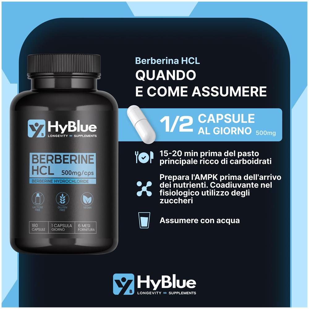 Berberina 1000 mg Alto Dosaggio 180 Capsule, 2x500 mg | Estratto di Berberis Aristata Puro | Alta Biodisponibilità per Benessere Metabolico | 100% Vegano, Senza Glutine e Senza Lattosio | Fino a 6 Mesi - Foto 2