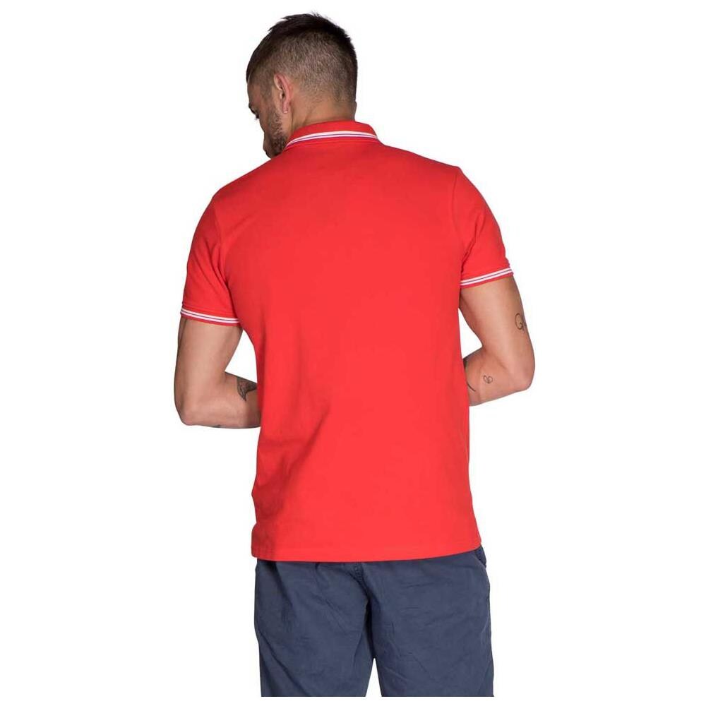 Polo Ted Abbigliamento Uomo M - Foto 2