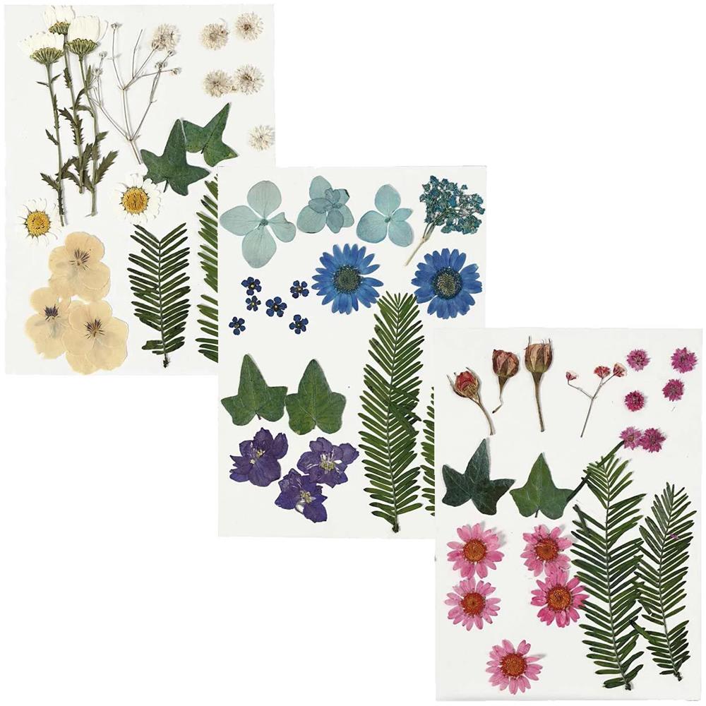 3 Mazzi Di Fiori Secchi - Rosa-blu-beige - Foto 1