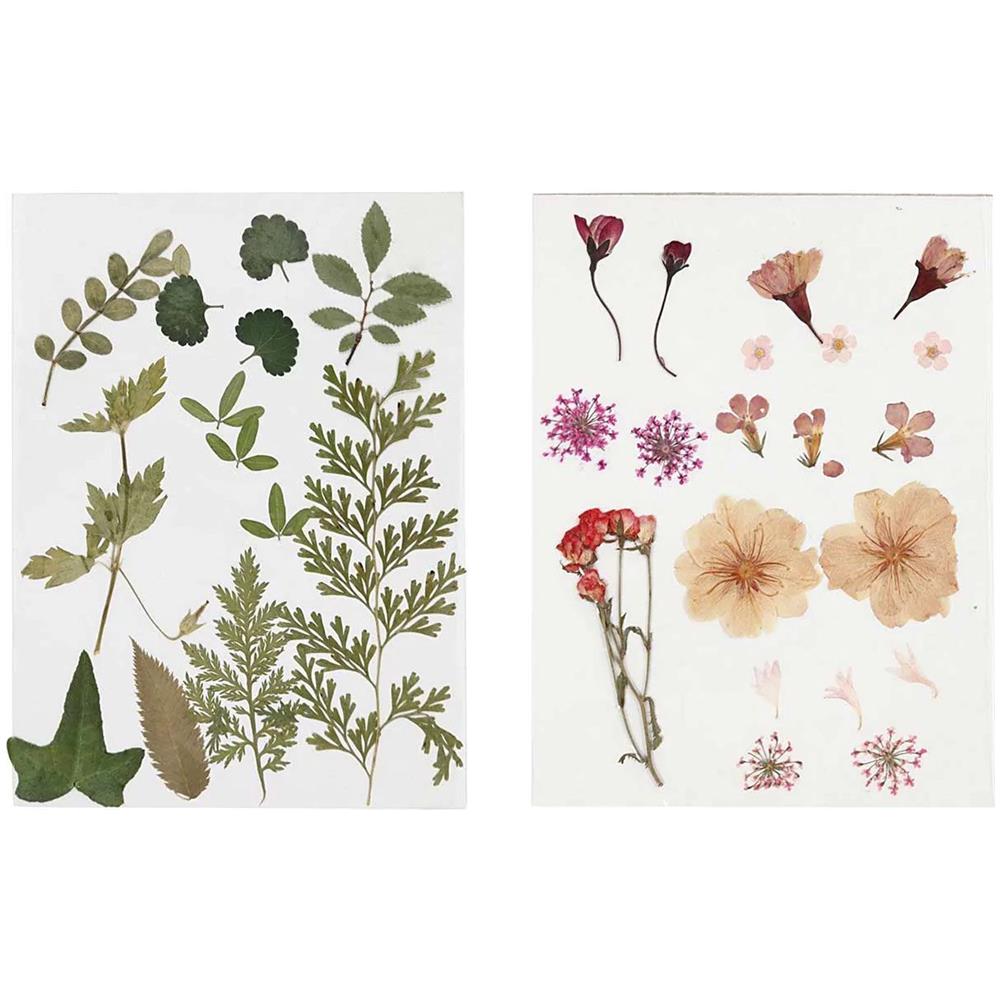 40 Fiori E Foglie Secche - Rosa E Verde - Foto 1