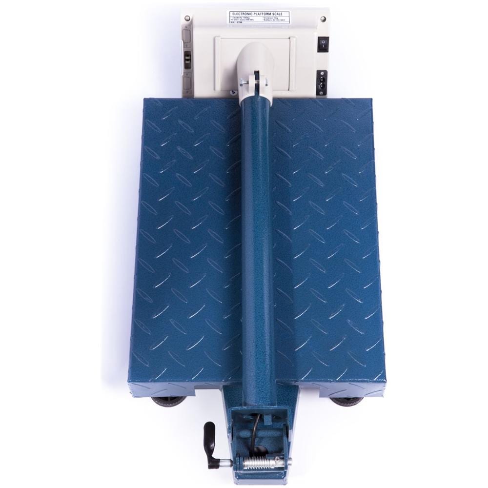 Bilancia A Piattaforma - 100 Kg / 10 G - Pieghevole - Foto 3