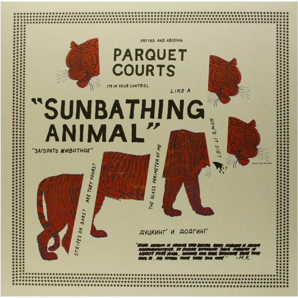 Parquet Courts - Sunbathing Animal - Foto 1