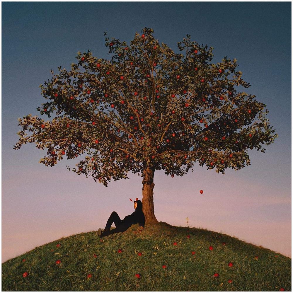 Slowthai - Tyron - Disponibile dal 26/02/2021 - Foto 1