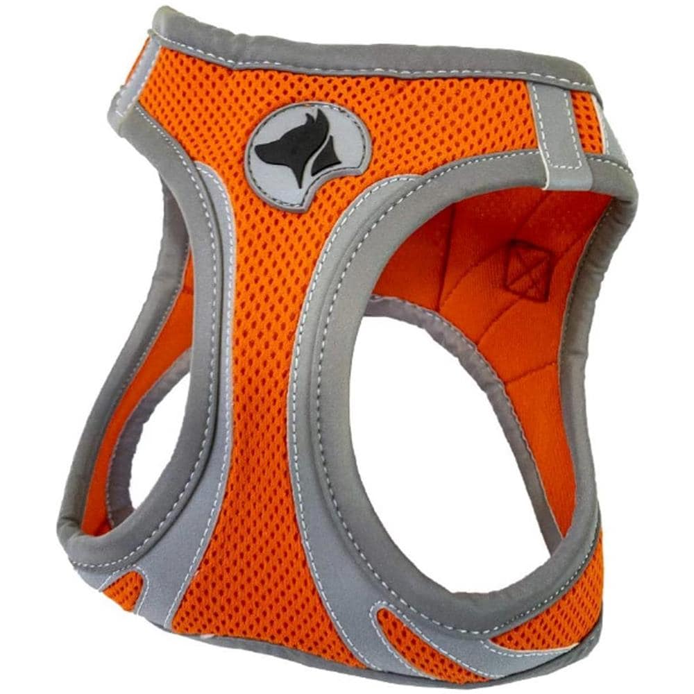 Variante Xs - Foto 1