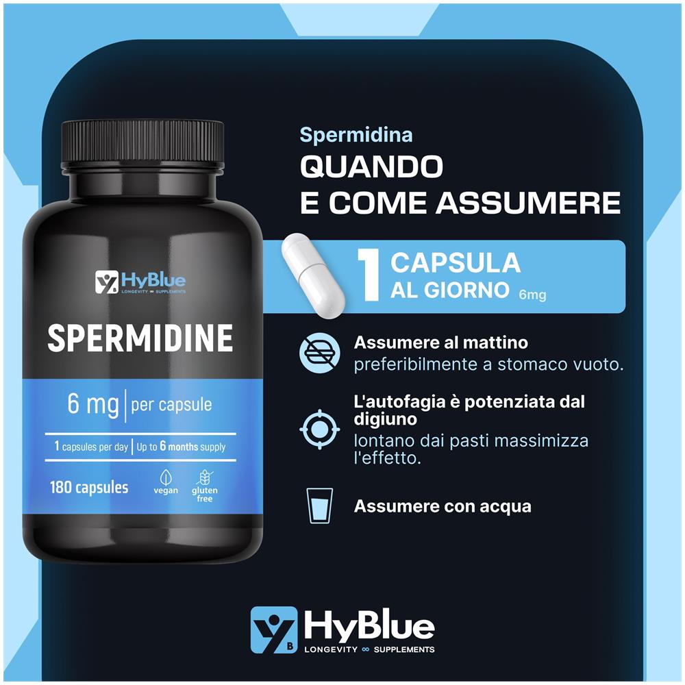 Spermidina 6 mg 180 Capsule | Estratto Puro da Germe di Grano per Autofagia e Rinnovo Cellulare | Supporto alla Longevità e al Sistema Immunitario | 100% Vegano, Senza Lattosio | Scorta 6 Mesi - Foto 2