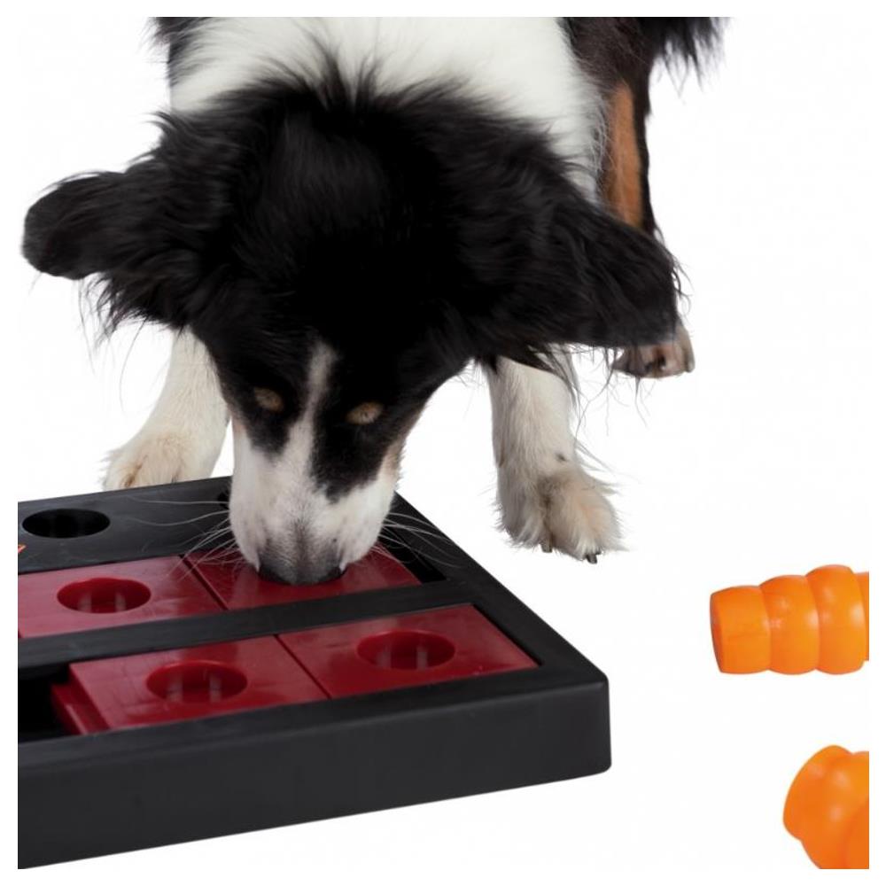 Gioco Di Intelligienza Chess Per Cane - Foto 3