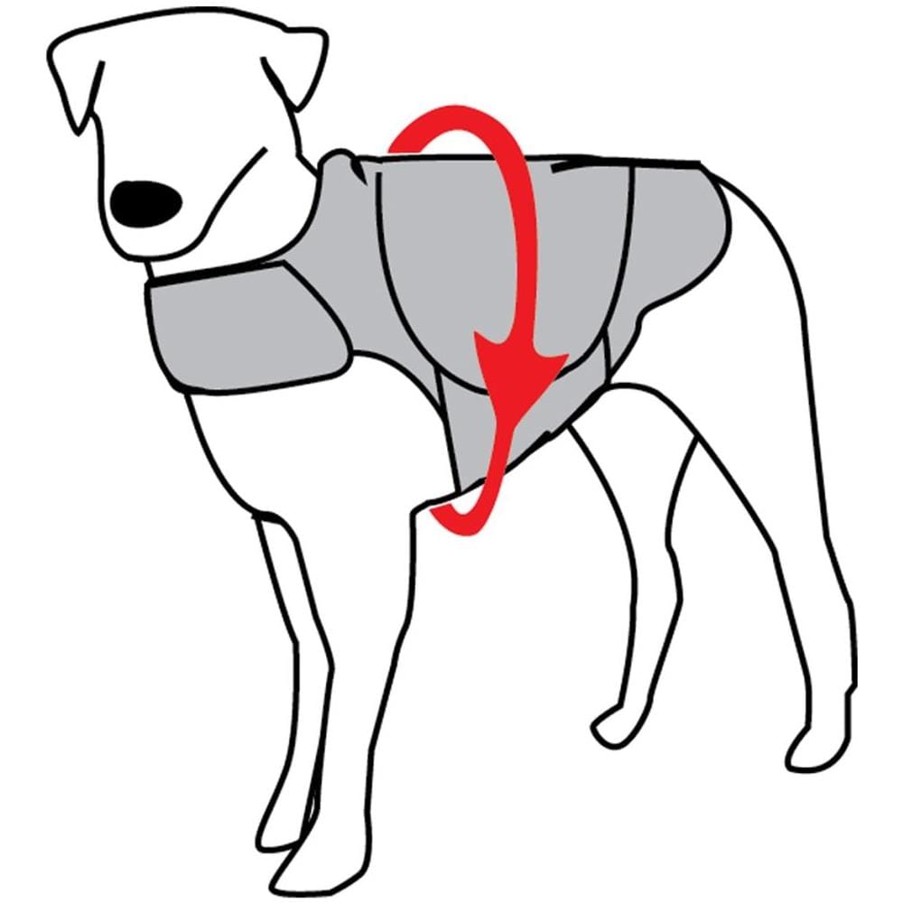 Pettorina Anti Ansia Per Cani S Grigia 2015 - Foto 2