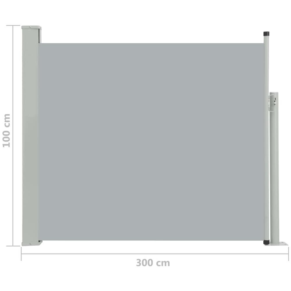Tenda Laterale Retrattile Per Patio 100x300 Cm Grigio - Foto 14