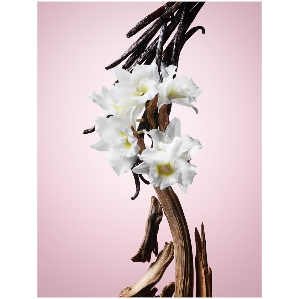 Flowerbomb Nectar Edp Intense Vaporizador 50 Ml - Foto 1