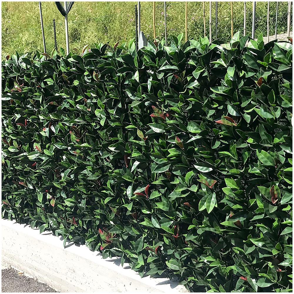 Divy 3d Plus Photinia Siepe Sintetica In Foglie Di Photinia Su Rete Plastica A Maglia Quadra In Rotolo - 1 X 3 M - Foto 3