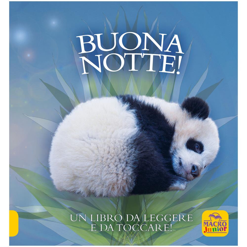 Aa. Vv. - Buona Notte! - Foto 1