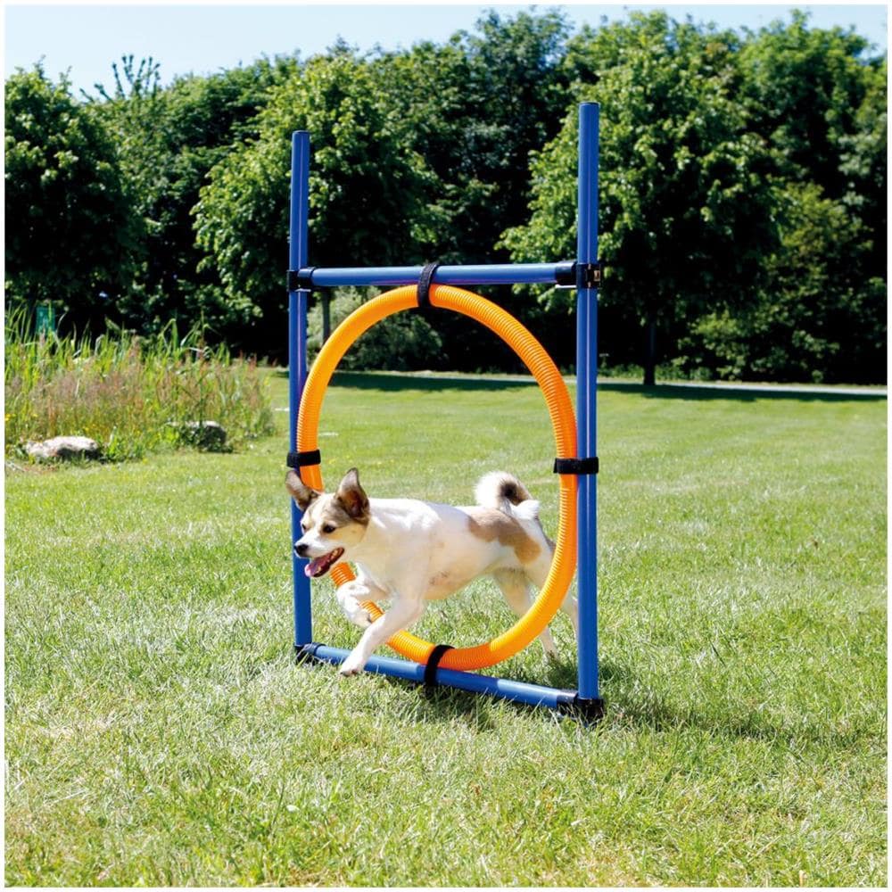 Cerchio Per Agility Cane 115x3 Cm In Plastica 3208 - Foto 2
