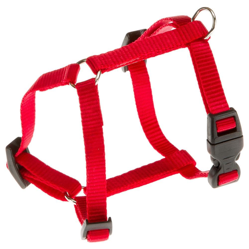 Pettorina Champion - Pettorina Per Cani Di Tutte Le Taglie Red Xs - Foto 2