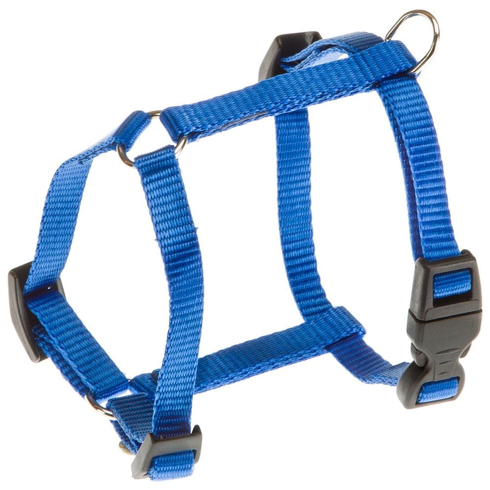 Pettorina Champion Xs - Pettorina Per Cani Colore Blu - Foto 2