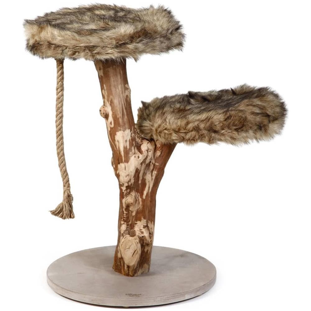 Albero Tiragraffi Aviva 50x50x68 Cm In Legno - Foto 1