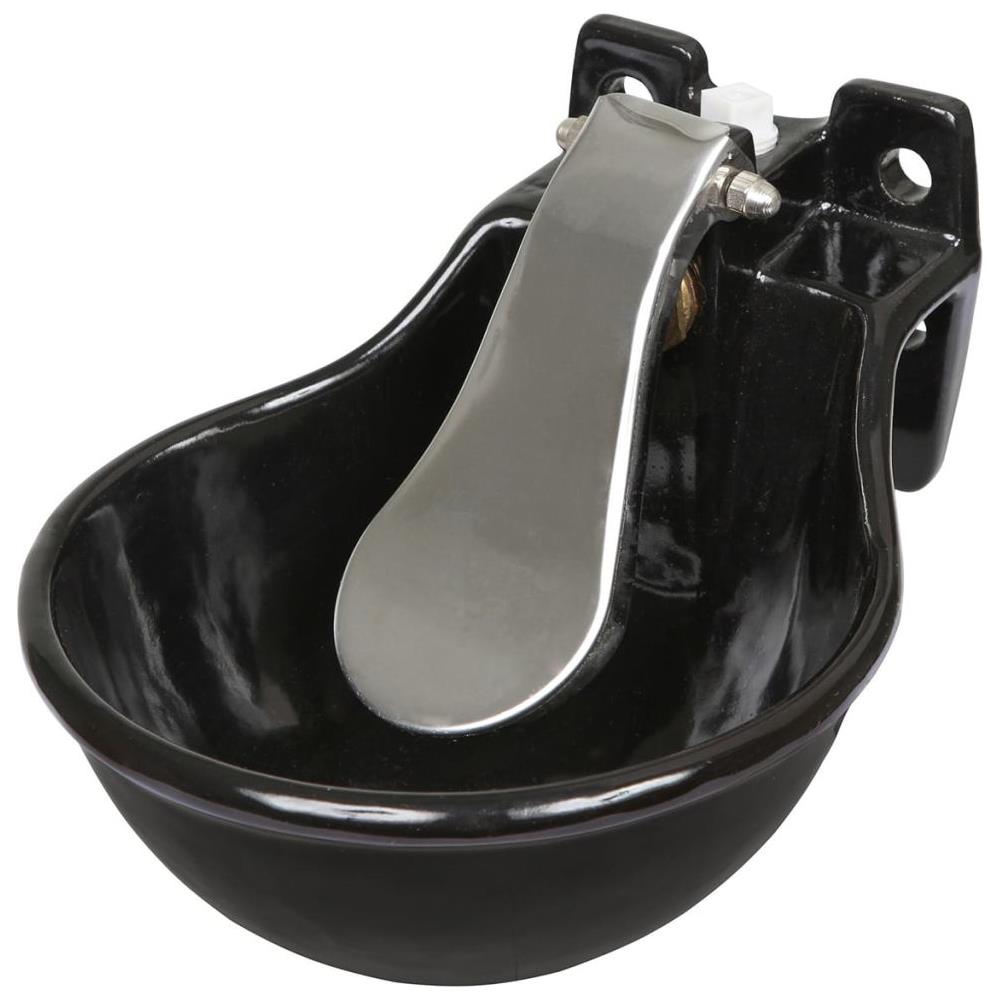 Abbeveratoio In Ghisa - Foto 1