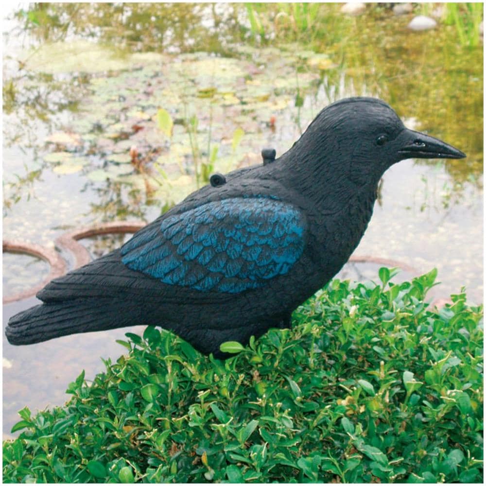 Decorazione Animale Corvo Nero 27 Cm 1382523 - Foto 2